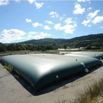 Vejiga de combustible de PVC/TPU